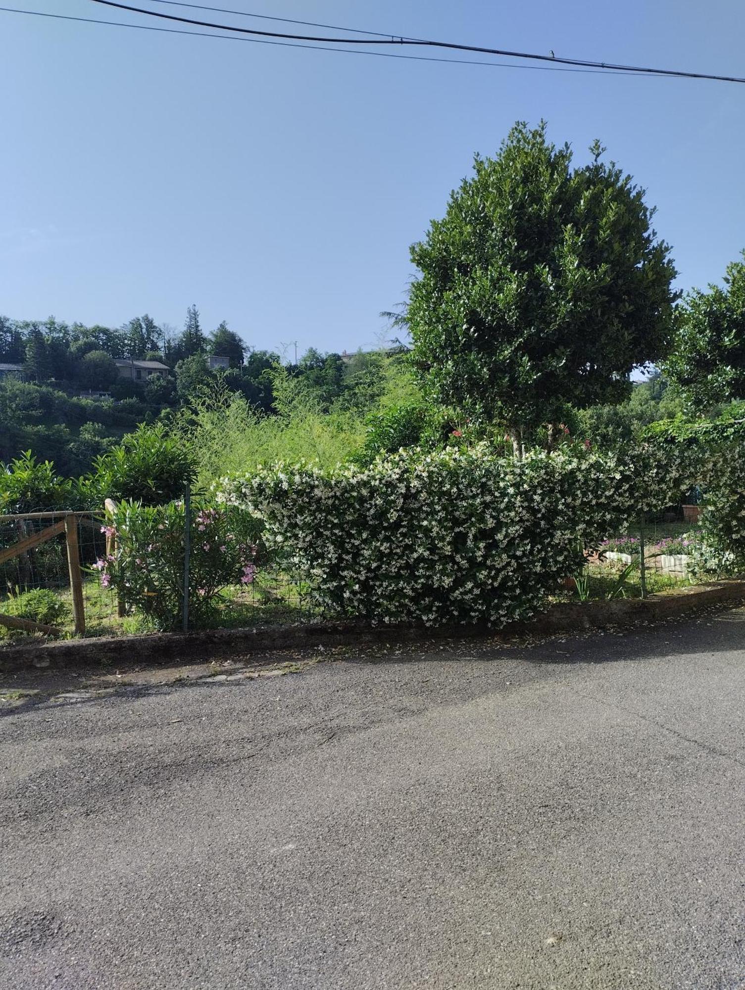 Casavacanzetorresansevero Orvieto Buitenkant foto